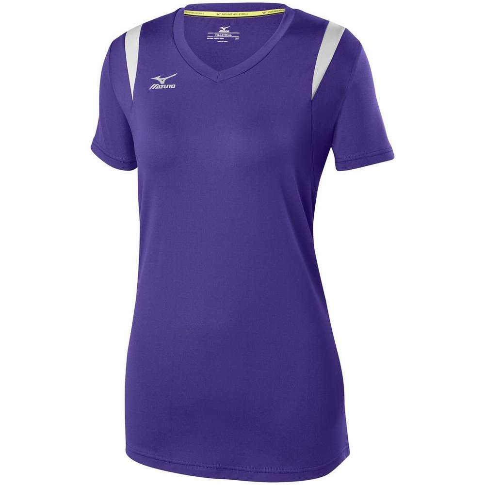 Damske Dresy Mizuno Balboa 5.0 Long Sleeve Volejbalove Nachový/Strieborne Vypredaj USCF29038